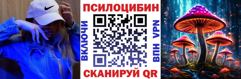 купить закладку  Оленегорск  Галлюциногенные грибы мицелий 